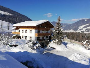 Oberfischergut, Flachau, Österreich